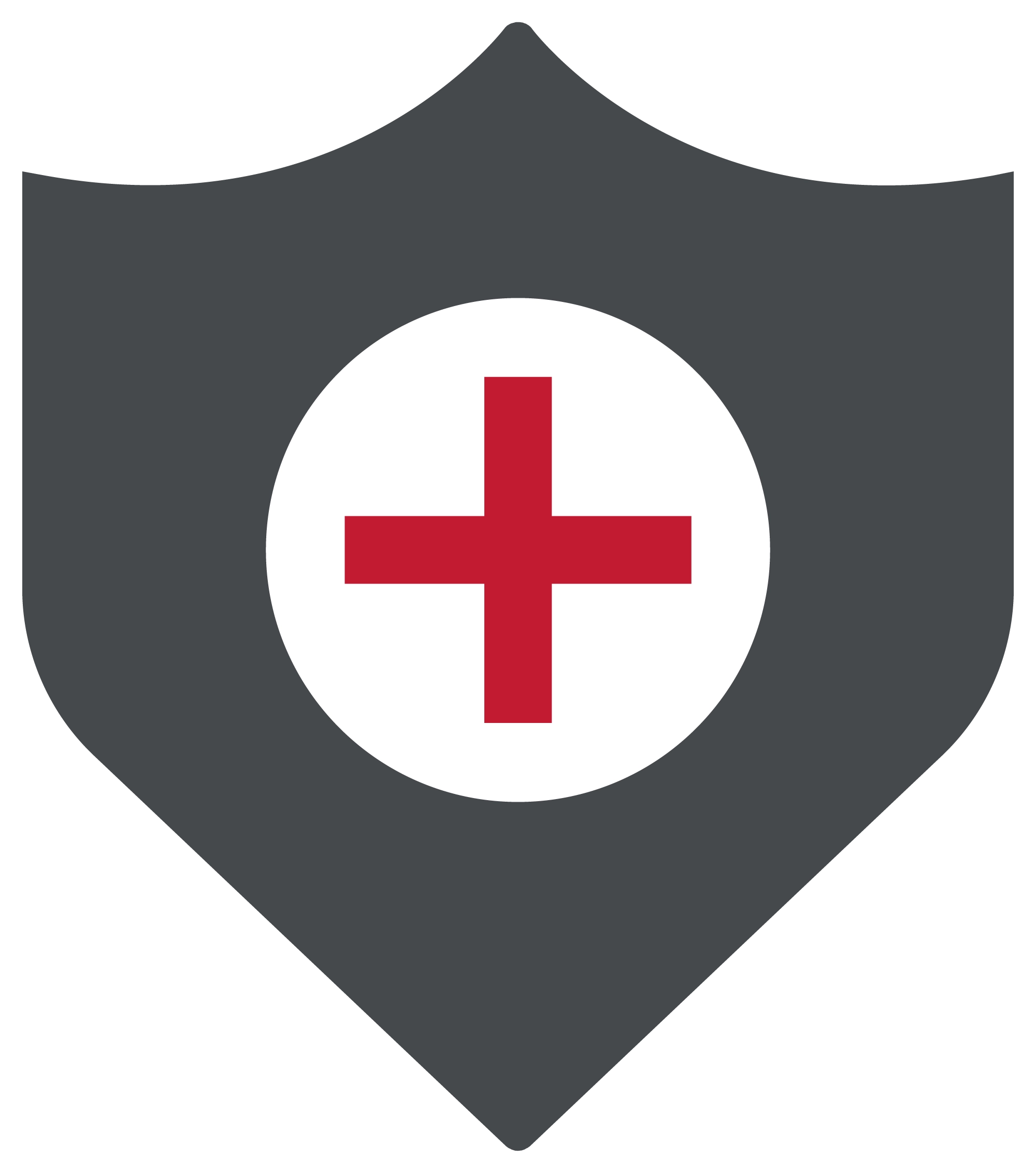 Life insurance icon