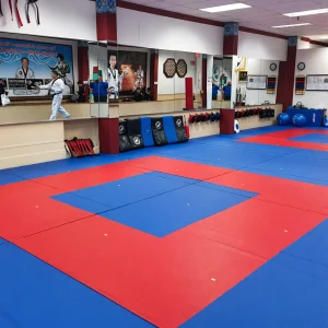 sportsfield specialties martial arts mats installed in a martial arts training facility