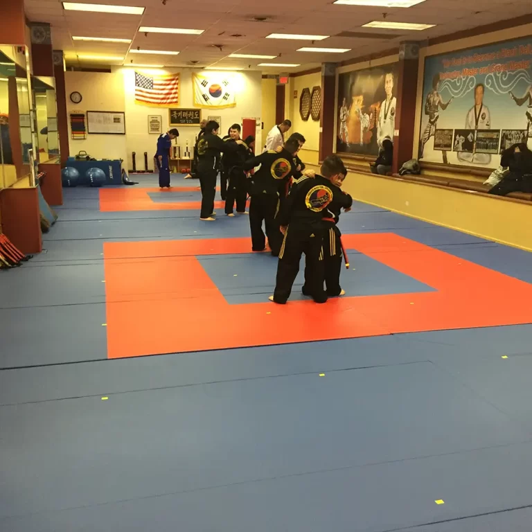 Martial Arts Mats