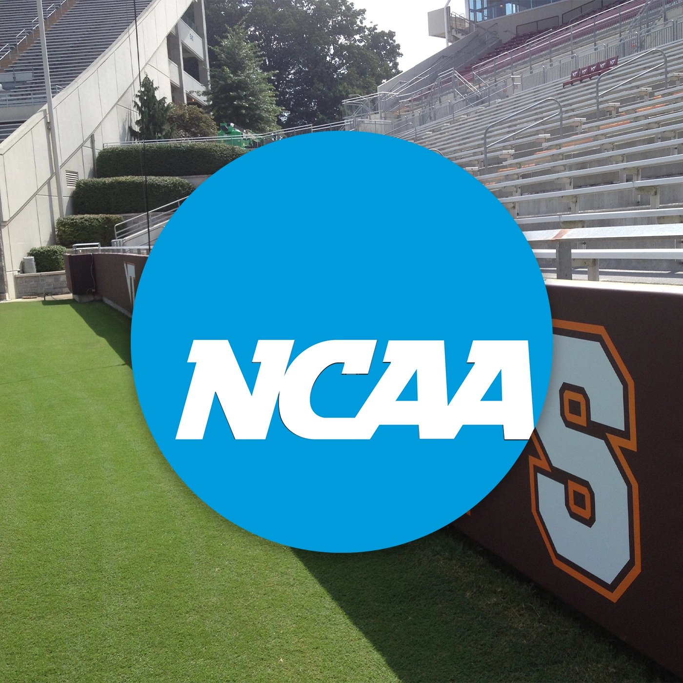 New NCAA Baseball & Softball Padding Rules May Impact Your Athletic Facility