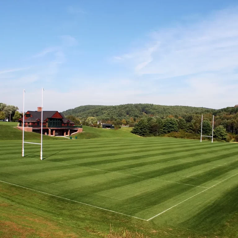 Rugby Goal Posts